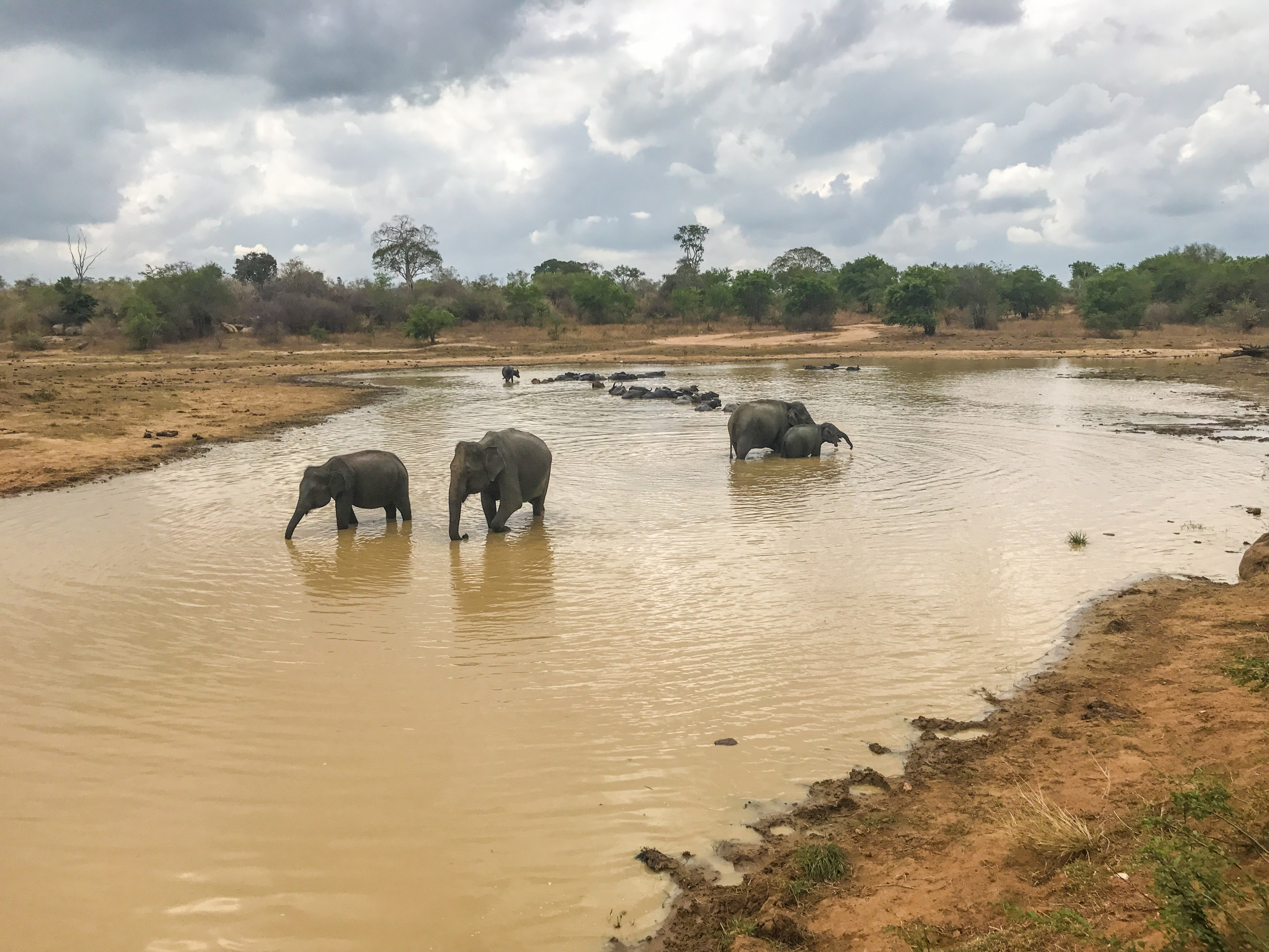 Jour 12 – Uda Walawe et Tangalle