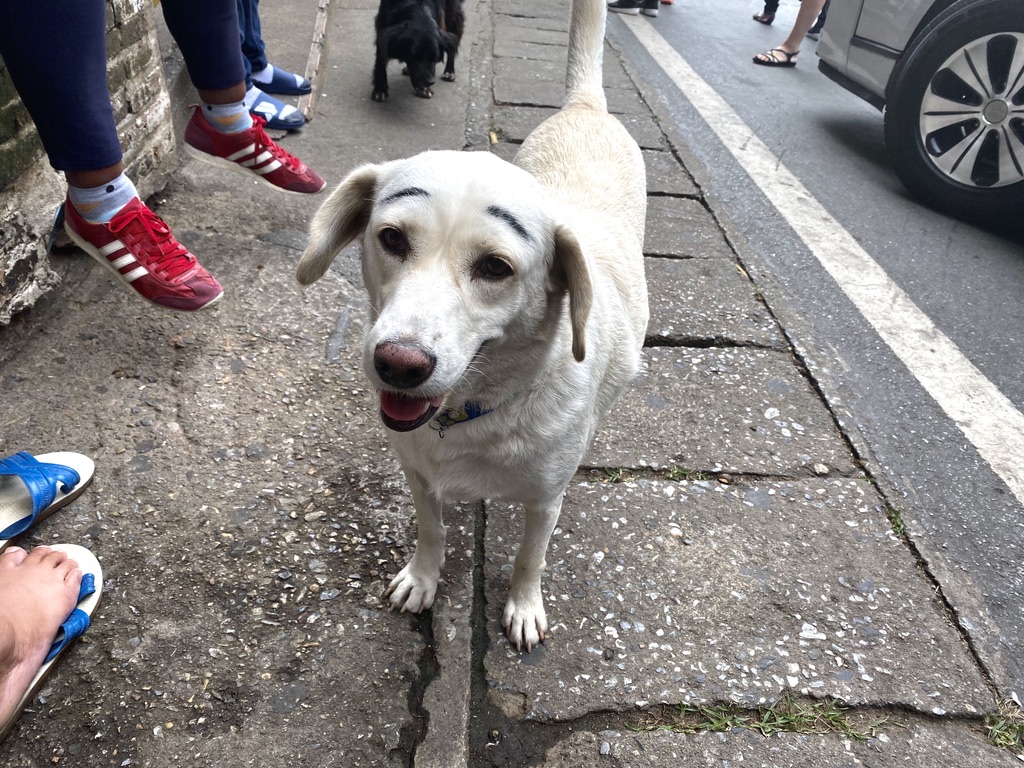 Jour 9 – Doi Suthep – Catmosphère