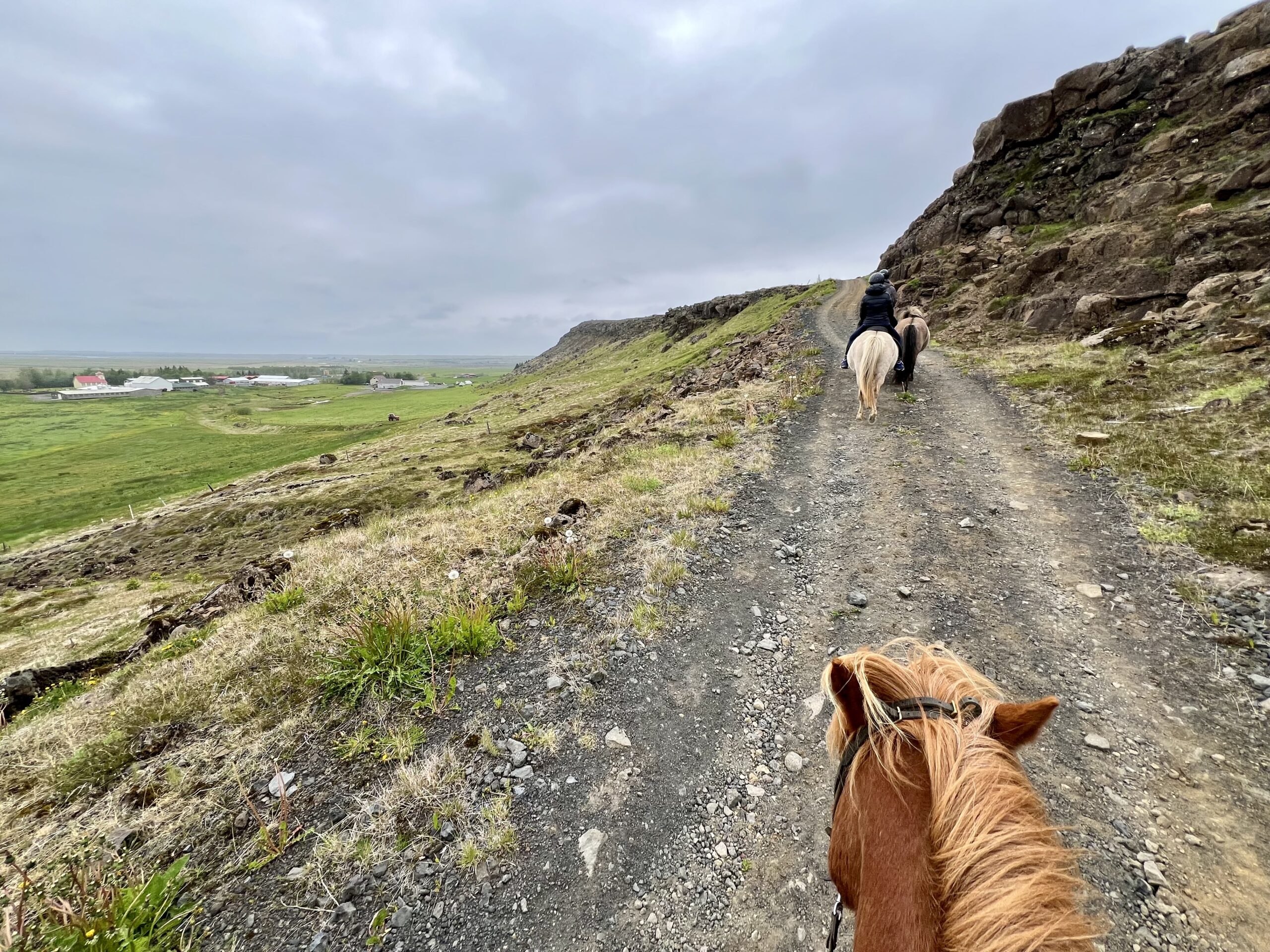 Jour 1 – Reykjavik et Cora’s House and Horses