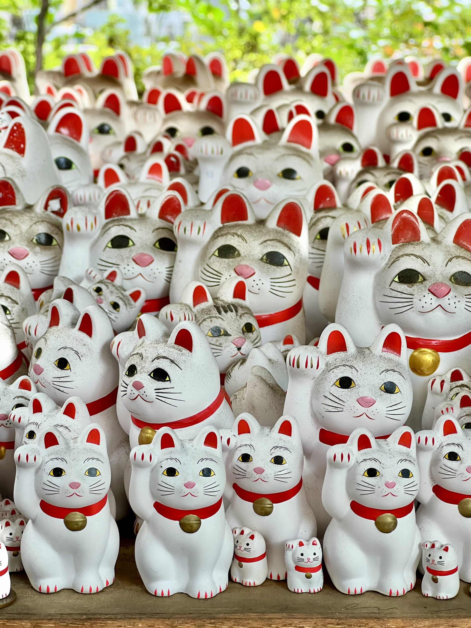 Japon – Jour 4 – Cours de cuisine et visite guidée avec Tokyo Greeter