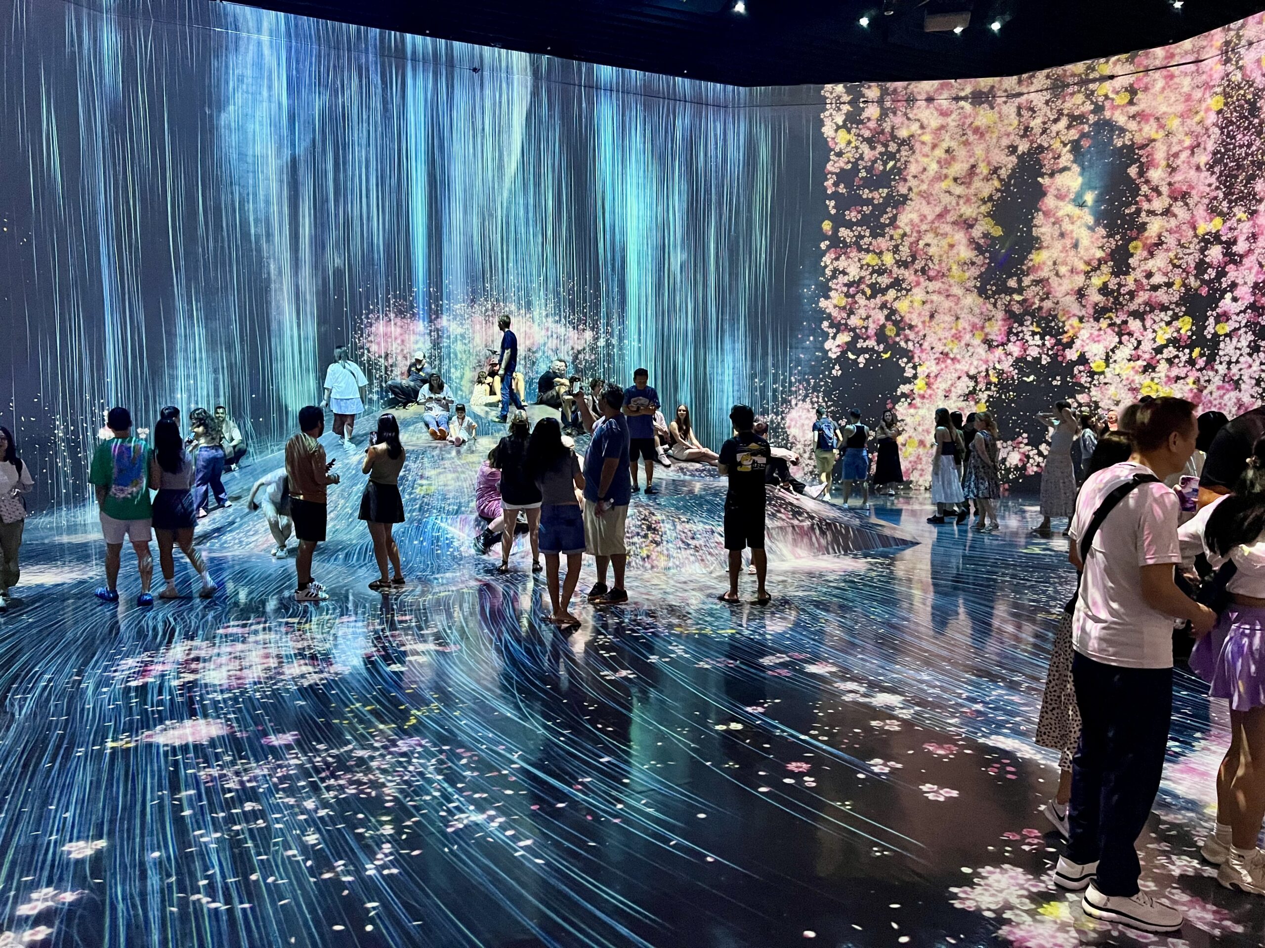 Japon – Jour 5 – Teamlab Borderless et magasinage