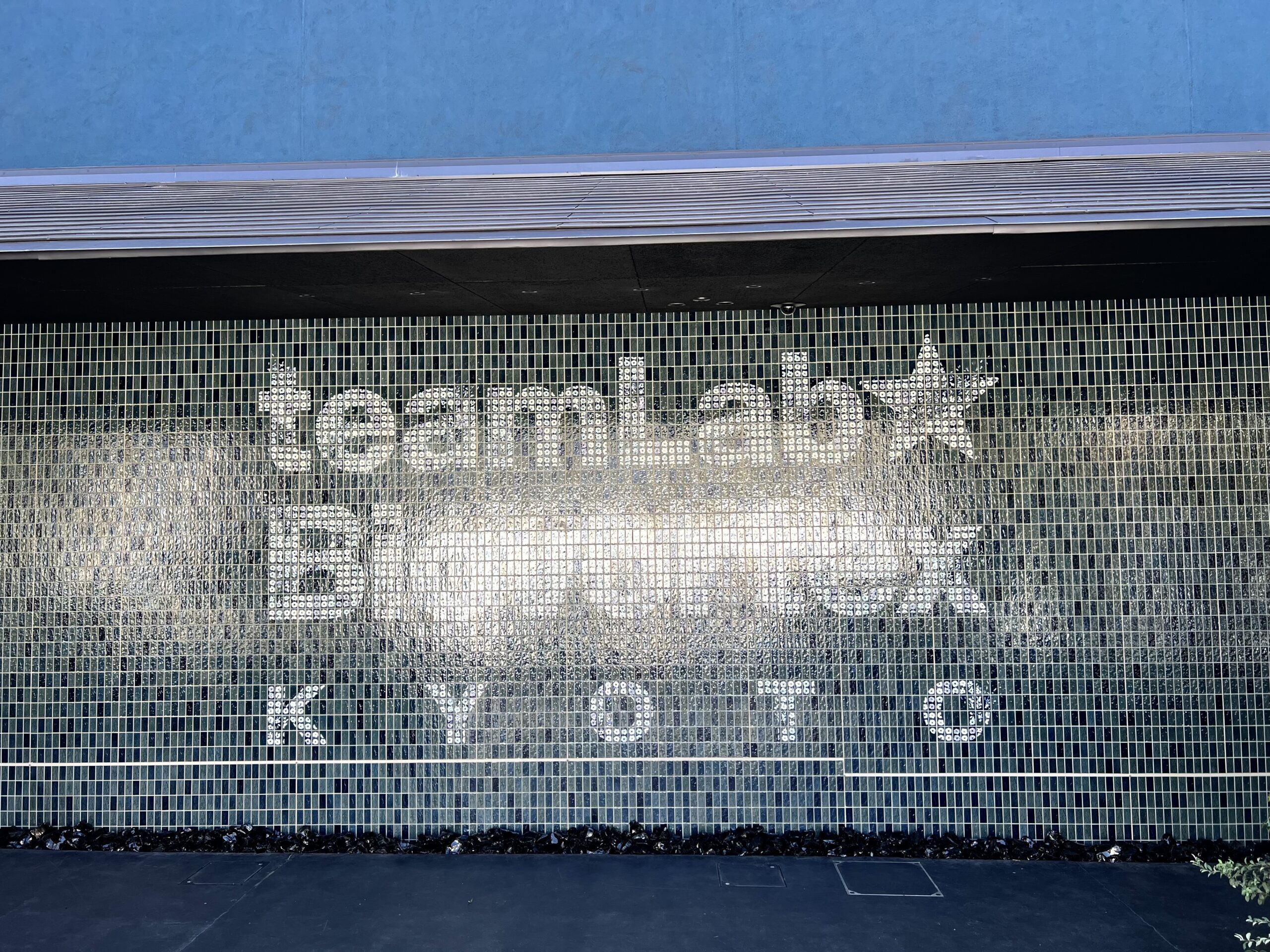 Japon – Jour 17 – teamLab BioVortex